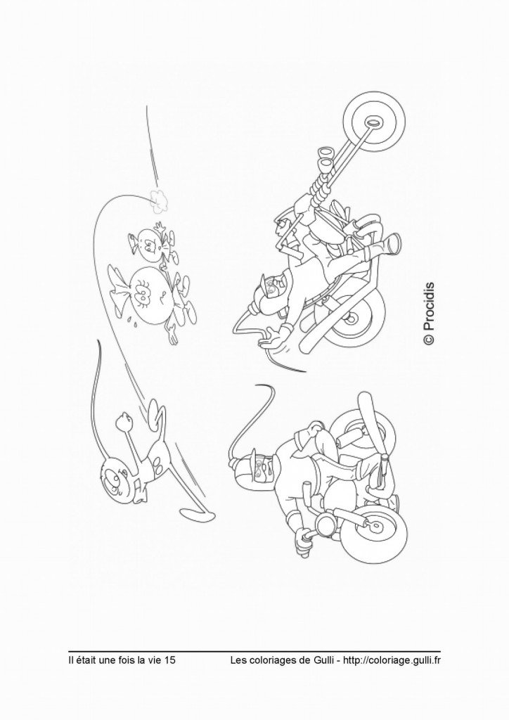 life_cl_15
