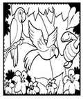 parrot_cb_3
