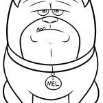 secret-life-of-pets-coloring13