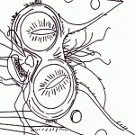 secret-life-of-pets-coloring14