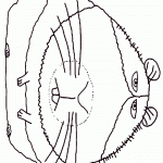 secret-life-of-pets-coloring7