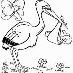 storks-coloring-13