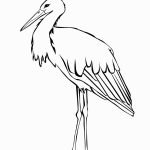 storks-coloring-7