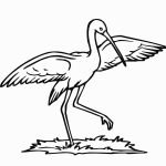 storks-coloring-8