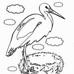storks-coloring-9