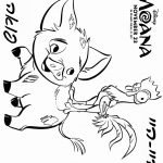 פואה והיי-היי, תרנגול המחמד של מאווי ומואנה