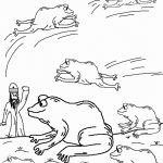 10 המכות - צפרדע