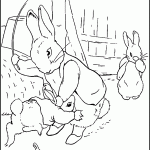 peter-rabbit-coloring13