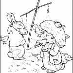 peter-rabbit-coloring23