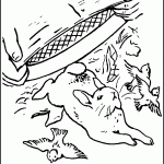 peter-rabbit-coloring6